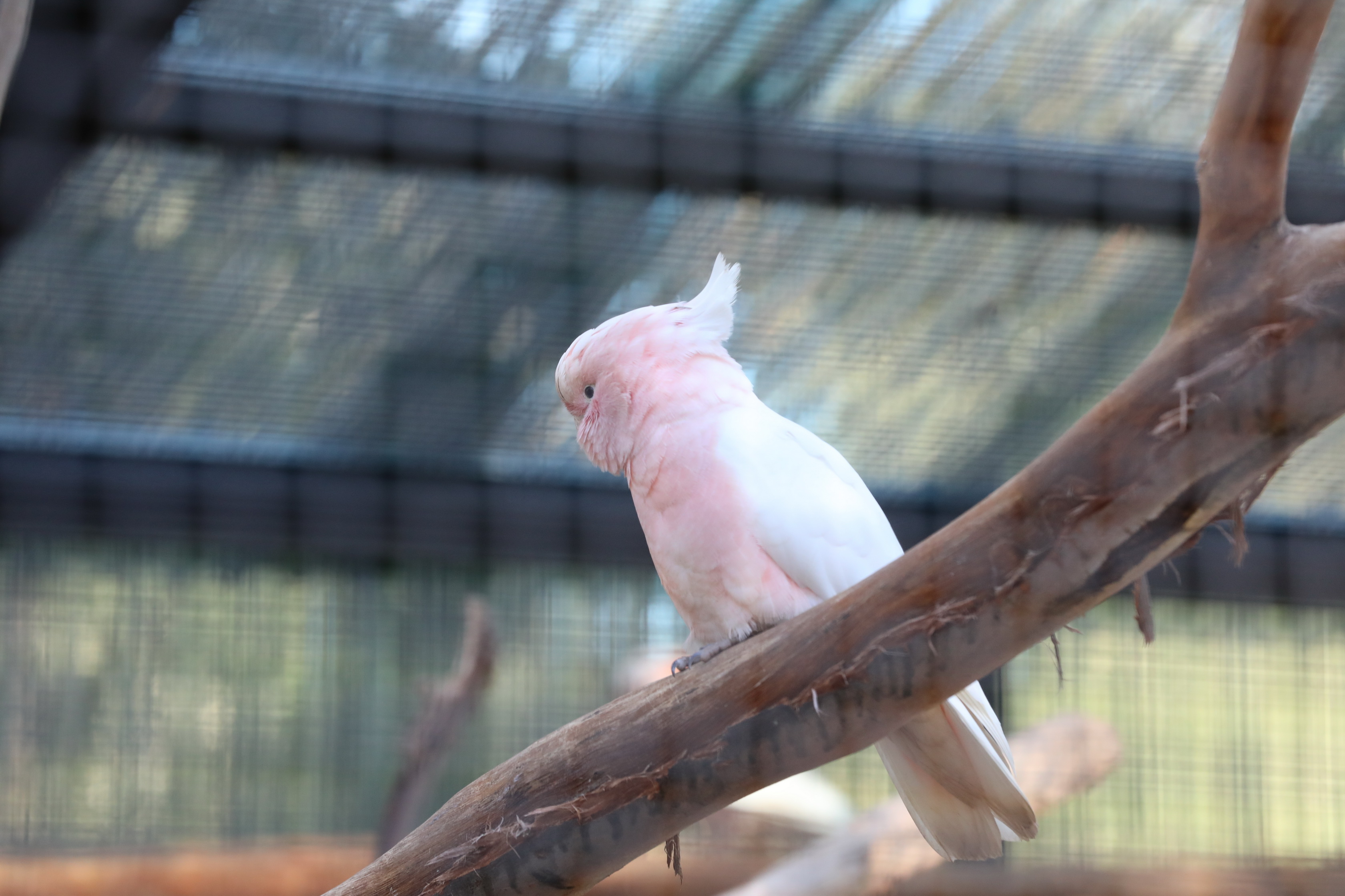 2019 07 19 15 26 41 Canon EOS 5D Mark IV 0040